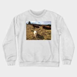 Scottish Highland Cattle Cows and cat 2360 Crewneck Sweatshirt